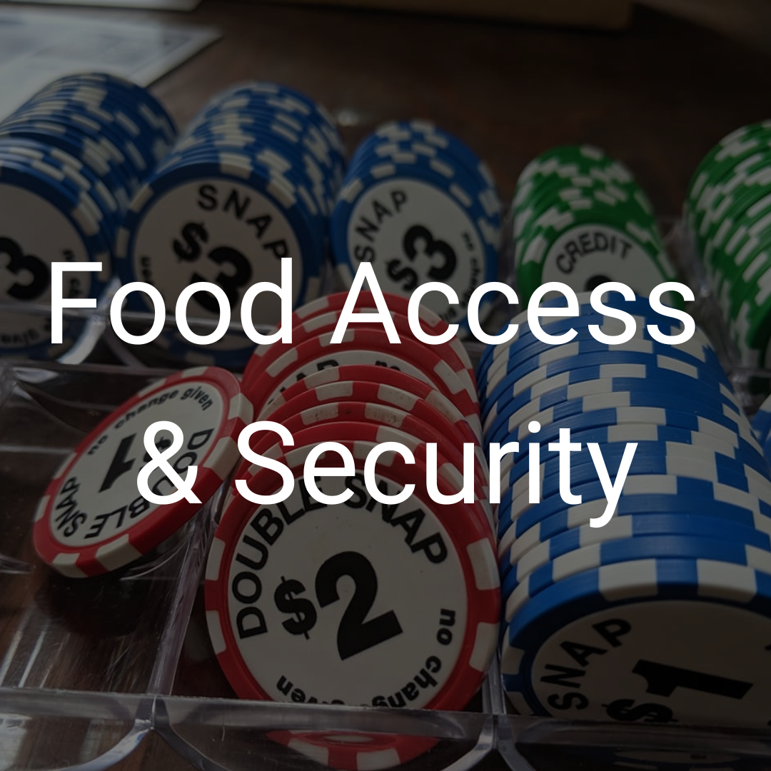 Food-Access-Security.png